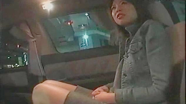 Hot Asian Beauty Gets Cunt Drilled Sensually in Steamy Sex