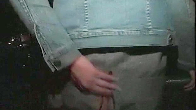 Hot Asian Beauty Gets Cunt Drilled Sensually in Steamy Sex