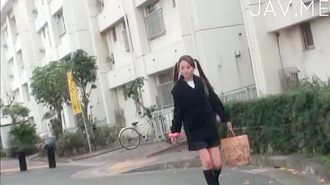 Beautiful Japanese Darling's Explicit Tits Mashing Action