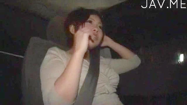 Hot Amateur Beauty Gets Fucked Hard In The Car Ride