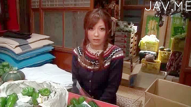 Honey in Fishnet Tempts Hard Cock Drilling Her Wet Cunt