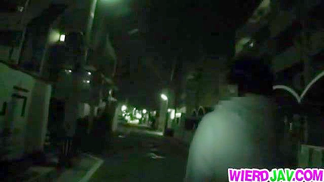 Sizzling Japanese Temptress Delivers Mind-Bending Fuck Fest