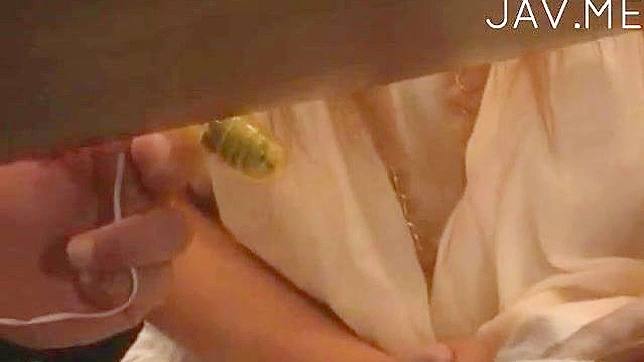 Lusty Priceless Pounding with a Horny Seductive Babe