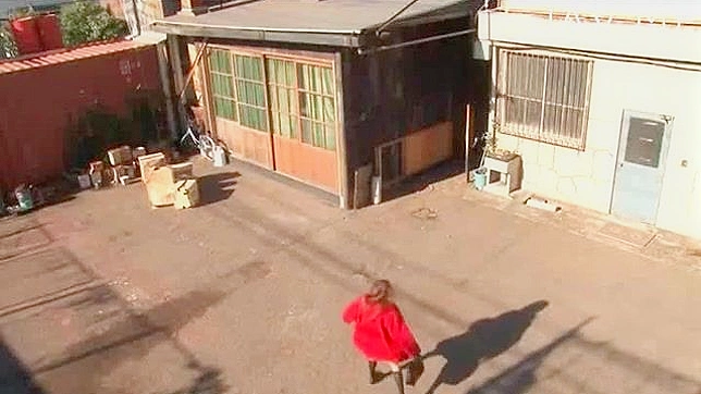 Captured Asian Beauty Gets Wild Pussy Toying from Her Master