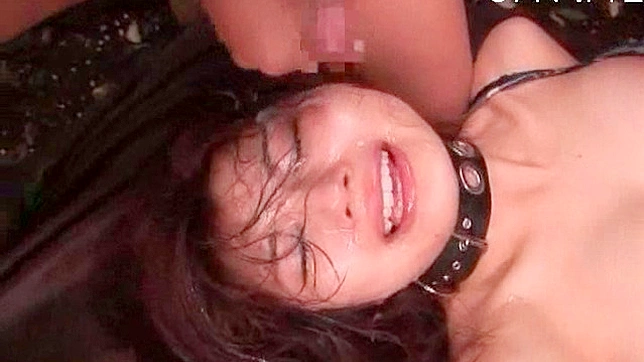 Submissive Beauty Taken Hardcore For Irresistible Pleasure