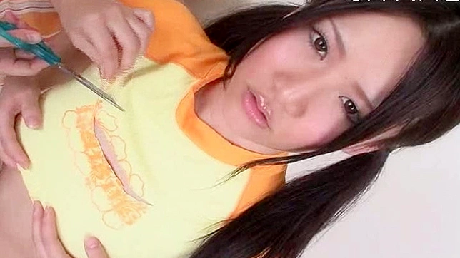 Pretty Cure Idol Stars in Explicit Sex Showdown Scene