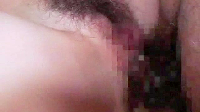 Demure Asian Babe Enjoying Explicit Wild Drilling Pleasures