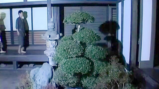 Sho's Real Story - Passionate Nights With His Concubines