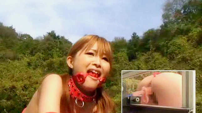 Seductive Demure Japanese Babe Performs Lusty Fellatio