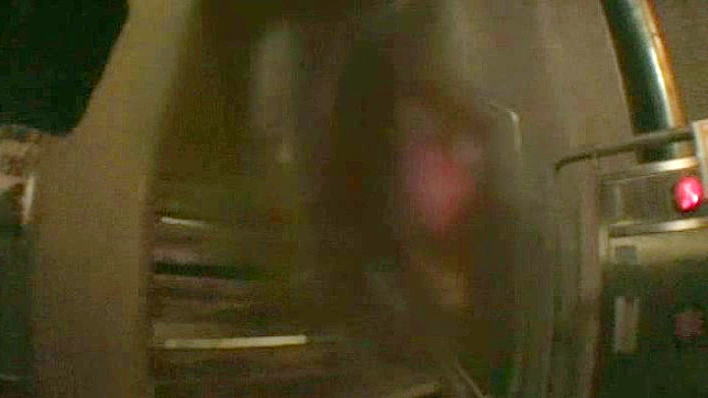 Lush Kiss Leads to Passionate Sex Between Wealthy Partners