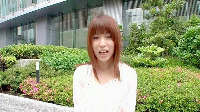 Acme Orgasms Explode in This Insane Blowjob Festiva