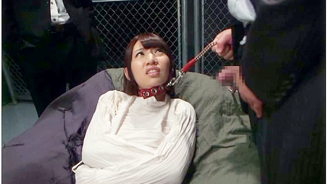 Hot Asian Gets Railed by Studs in Wild Gangbang Orgies