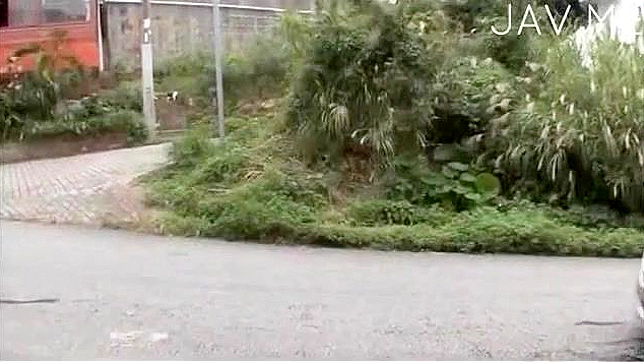 Sexy Strip Tease Gets You Hard; Jerking Off Feels So Good