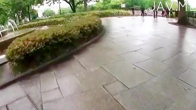 Sexy Stripper Reveals Her Body For A Mind-Bending Fuck