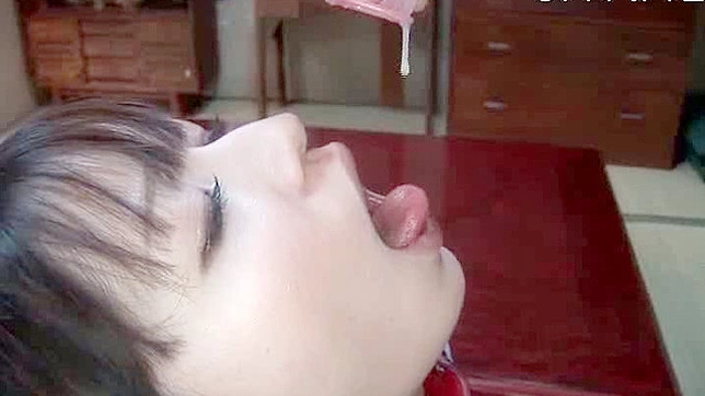 Hot Asian Doll Deep-Throats Thick Dong Before Steamy Sex Act