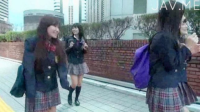 Hairy-Pussy Asian Pornstar Bounces On A Massive Cock Thrust