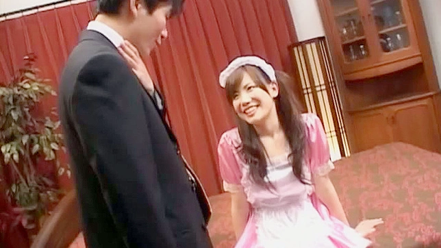 Passionate Akari Hosino Gets Her Pussy Savagely Fucked Hard