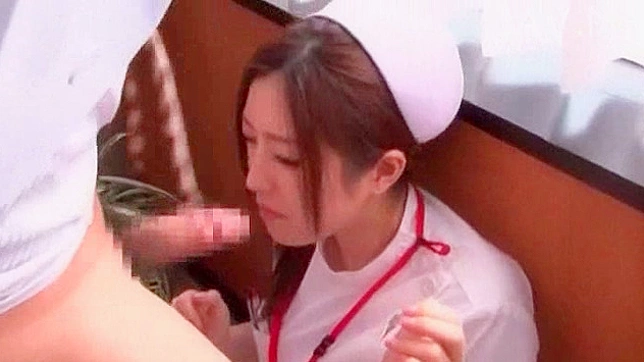 Hairy Japanese Porn Star Enjoys A Steamy 69 Encounter