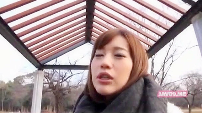 Sizzling Japanese Babe Gets Hardcore Fucked Scene