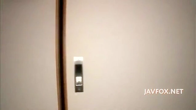 Seductive Japanese Babe Engages in Passionate Hardcore Sex Action