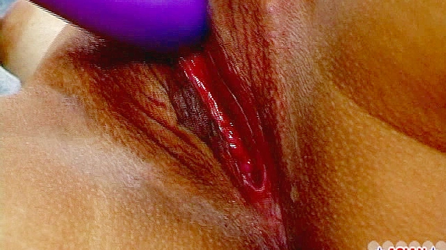 Hot Young Japanese Slides Thick Toy Inside Her Cherry