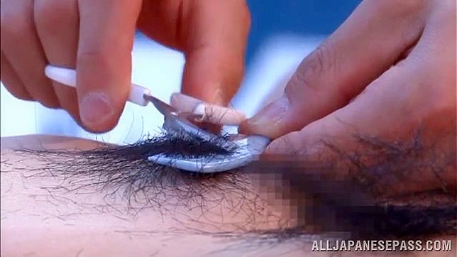 Hairy Japanese Pussy Gets Well Stimulated Sexually