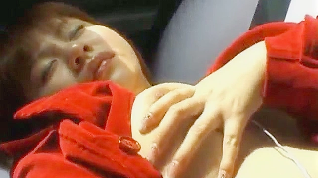 Sexy Marin Uses Vibrator In Car For Steamy Action Thrills