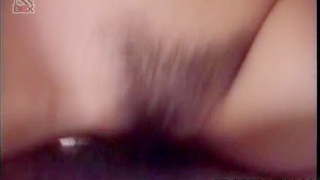 Asian Beauty Gets Penetrated Hard by Thick Cock