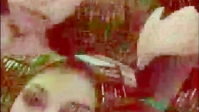 Maria Ozawa's Hairy Pussy Gets Fucked Hard by Cock