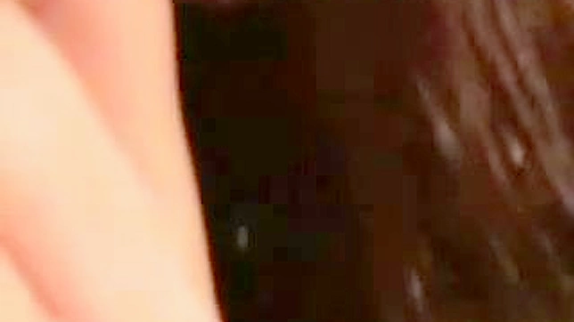 Amateur Novice Gets Raw Fuck by Craving Man's Hard Cock