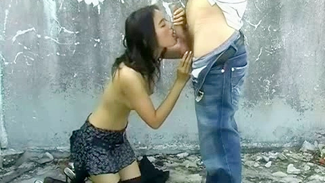 Sizzling Blowjob Leads into Hardcore Fuck Fest Action