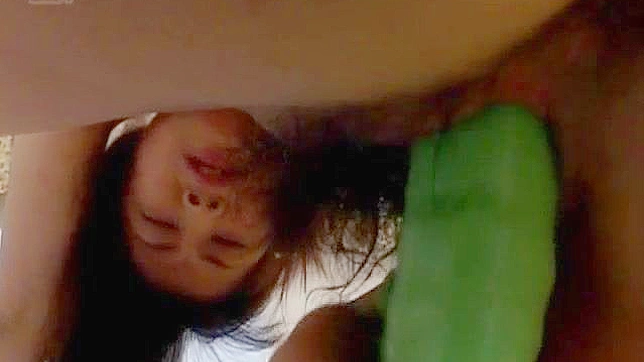 Mai Mariya Uses Sex Toys to Pleasure Her Hairy Nasty Pussy Delightfully