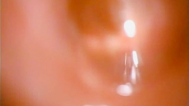 Hot Ann Kuraki Fucked Hard With Dildos & Penises In Sexy Threesome