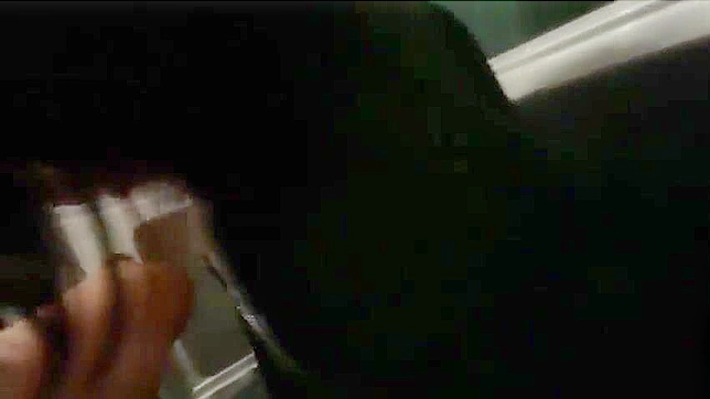 Hairy Japanese Babe Gets Quick Car Sex Thrill Ride