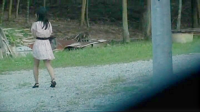 Japanese Voyeur Films Outdoor Self-Pleasure for Thrill Seekers