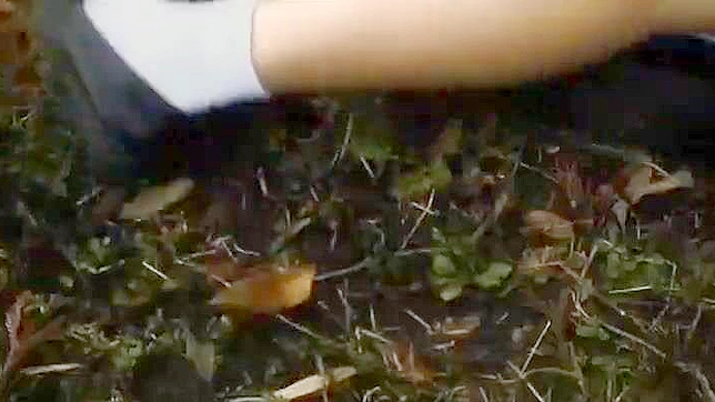 Schoolgirl's 18+ Forbidden Lust Battle Ends in Dirty Surrender