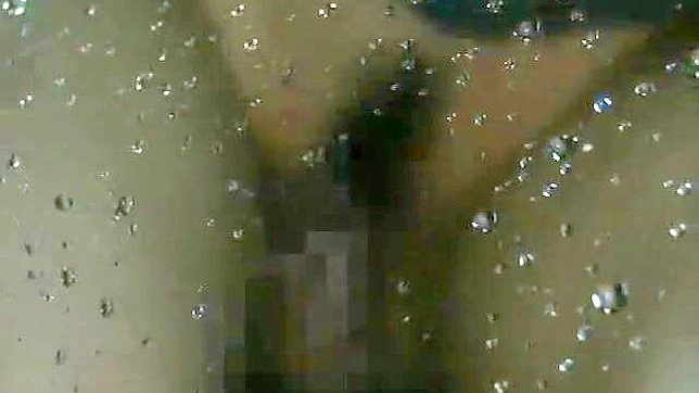 Naked With Desire - Japanese Mistress's Hidden Tryst