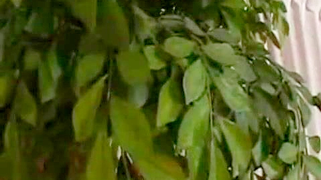 Sexual Fantasies Unleashed in Hot Locker Room Seduction