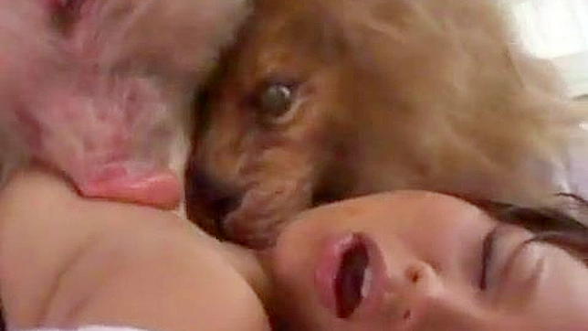 Sexy Asian Porn Star Enjoys Her Wicked Beast Fantasies