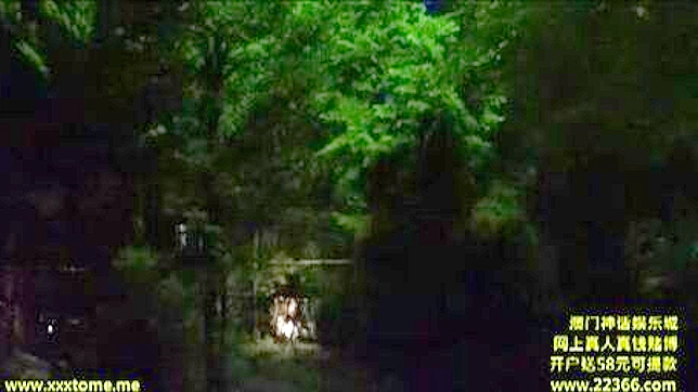 Lustful Hotel Tryst with Seductive Japanese Lover Delights