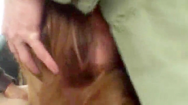 Hitching in Japan Turns into Raw Uncensored Sex Encounter