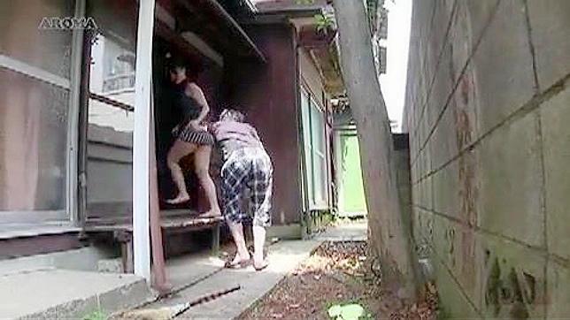Naughty Japanese MILF Tempts Neighbor into Hot Sex Adventure
