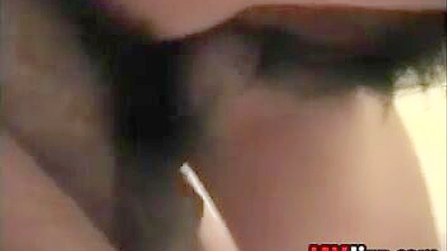 Beautiful Uncensored Fuck Fest With A Hairy Asian Pussy