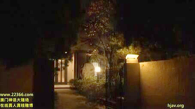 Sizzling MILFs Chisato's Midnight Lustful Nephew Encounter