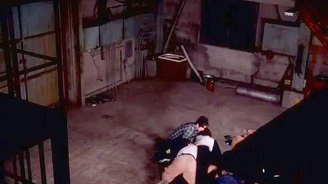 Japanese Beauty Gets Raw Fuck in Abandoned Warehouse