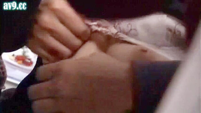 Cute Nippon Teen 18+ Gets Laid Crazy During Train Ride