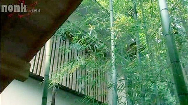 Sultry Milf Hitomi Tanaka Gets Nailed Roughly at Spa