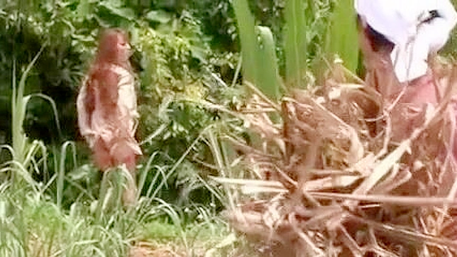 Busty MILF Hitomi Tanaka Tempts Peasant For Steamy Sex