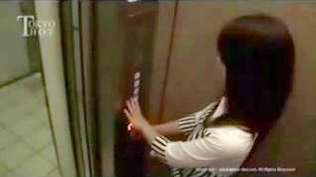 Teen 18+ Nippon Porn Star Gets Fucked Hard in Elevator Fantasy