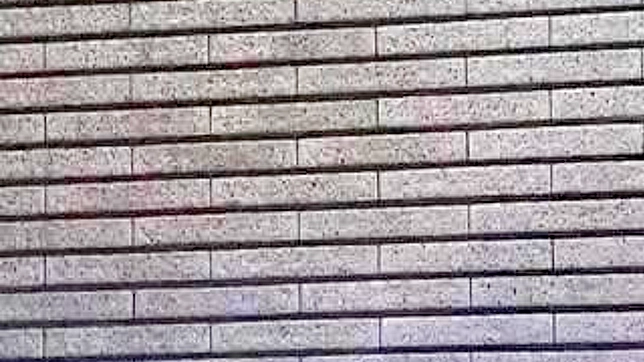 Time Traveler Yuuka's Steamy Erotic Adventures Begin Now